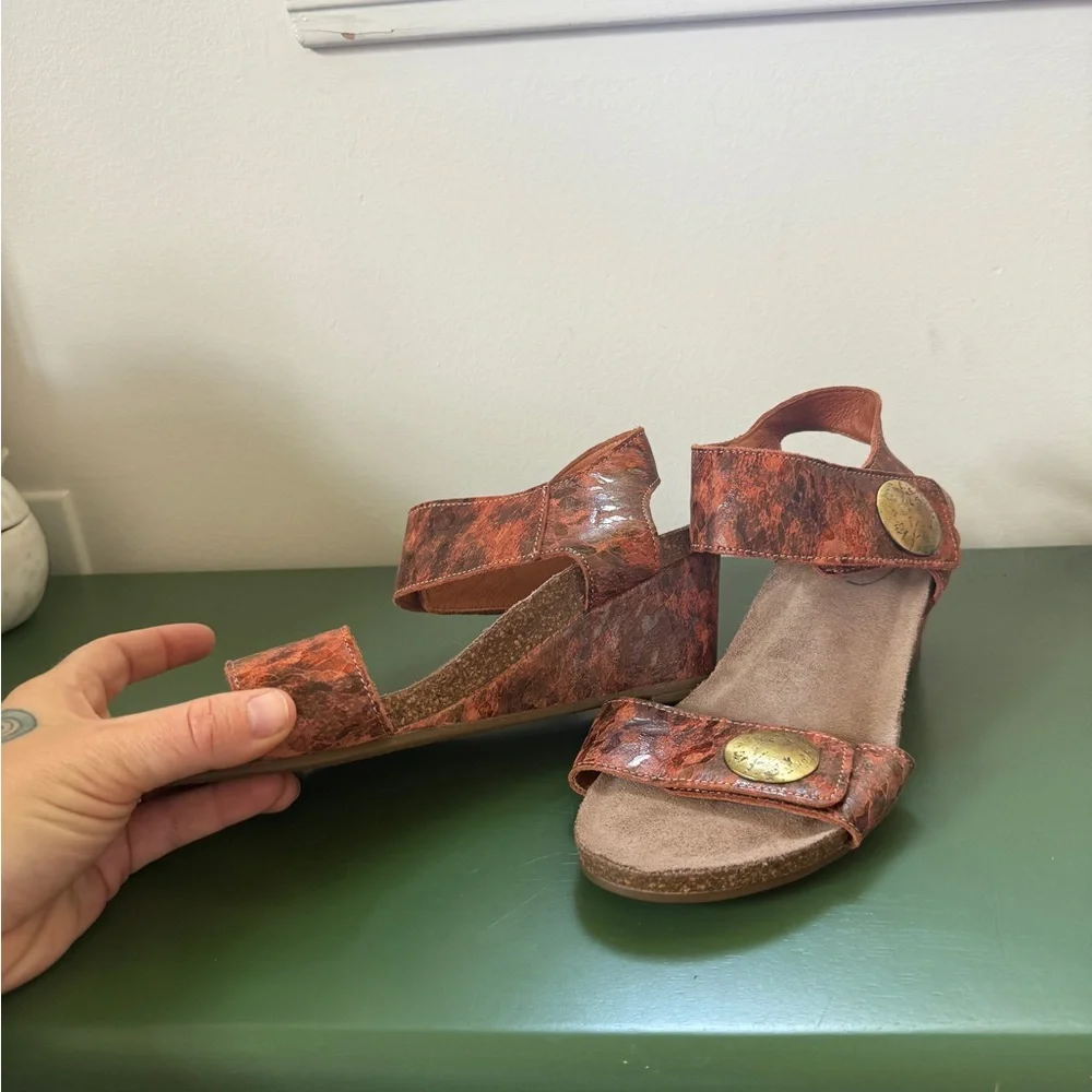 NWOB Taos Carousel 2 Leather wedge sandals with gold coin accents, size 7-7.5 - Picture 4 of 7